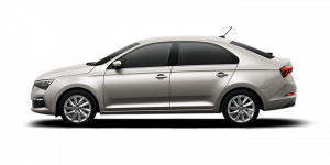 Silver Tungsten metallic